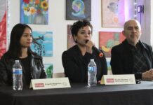 Llama Colcombc a denunciar y erradicar la violencia hacia las mujeres